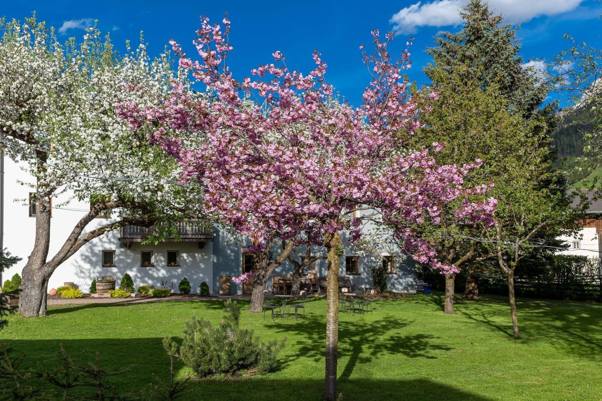 Residence Mitterdorfer Abfaltersbach Exterior foto